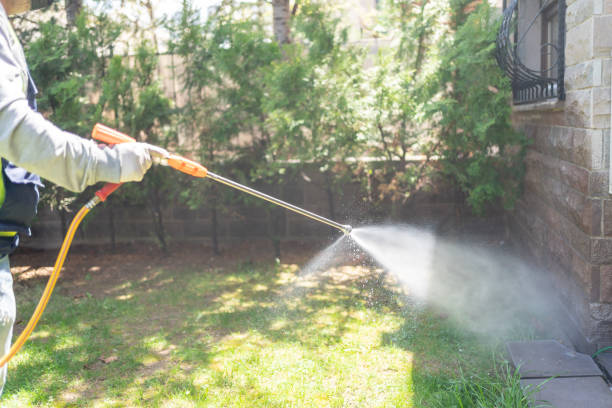 Best Cockroach Control  in Burgettstown, PA